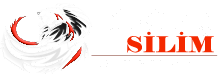 Diriliş Beton Silim Parlatma